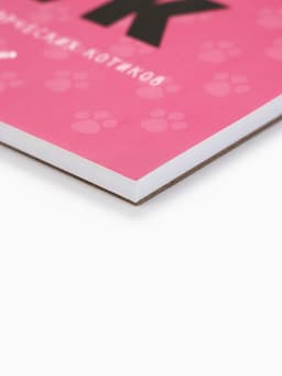 Скетчбук «Котобук» А5, 40 л, 100 г/м²