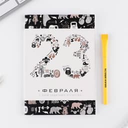 Подарочный набор, ежедневник А5, 80 листов и эко ручка «23 февраля»