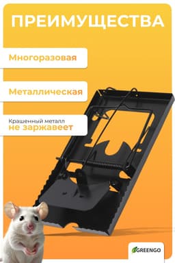 Крысоловка, 9×16.5×1.5 см, чёрная, Greengo