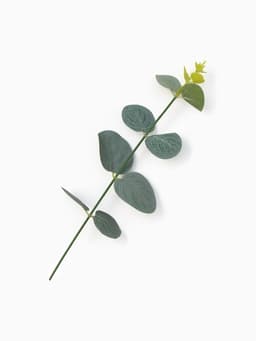 Набор подарочный «You are Beautiful» с полотенцем