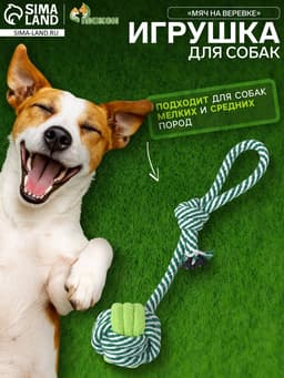 Игрушка канатная «Мяч на веревке», 33 г, до 25 см, цвет МИКС