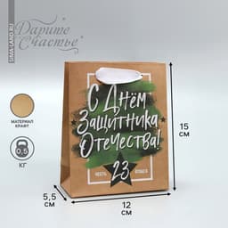 Пакет подарочный крафтовый, упаковка, «С 23 февраля», 12×15×5.5 см