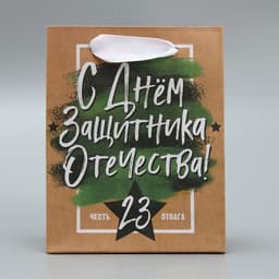 Пакет подарочный крафтовый, упаковка, «С 23 февраля», 12×15×5.5 см