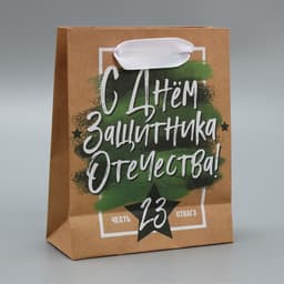 Пакет подарочный крафтовый, упаковка, «С 23 февраля», 12×15×5.5 см