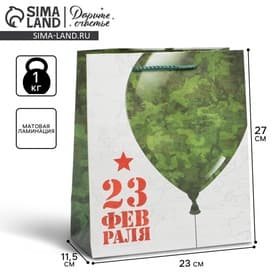 Пакет подарочный ламинированный, упаковка, «С 23 февраля», ML 23×27×11.5 см