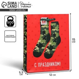 Пакет подарочный ламинированный, упаковка, «С 23 февраля», S 12×15×5.5 см