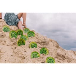 Блюдо сервировочное стеклянное овальное Доляна «Романтичный киви», 24.5×15 см, зелёное