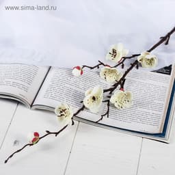 Цветы искусственные «Веточка сакуры», 2.5×42 см, белые