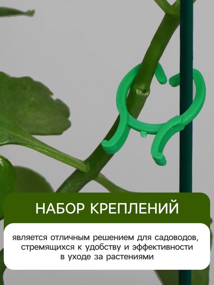 Набор креплений для растений, набор 50 шт., Greengo