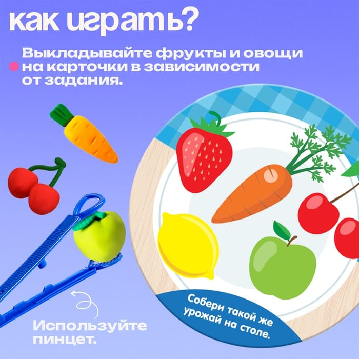 Набор для сортировки «Вкусная тарелка», по методике Монтессори, 20 заданий, 3+