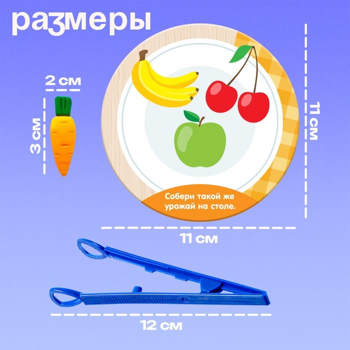 Набор для сортировки «Вкусная тарелка», по методике Монтессори, 20 заданий, 3+