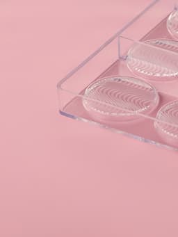 Форма для шоколада KONFINETTA «Круг», 27.5×13.7×2.5, 8 ячеек (d=5.5 см), пластик, прозрачная