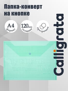 Папка-конверт на кнопке, А4, 120 мкм, Calligrata «Клетка», прозрачный, зелёный