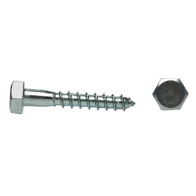 Шуруп для крепления лаг и реек Steelrex, цинк 12×300, 110 шт.