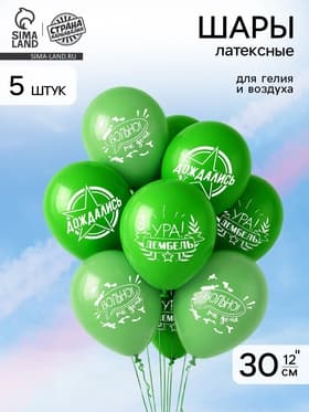 Воздушные шары латексные 12" «Дембель», 5 шт.