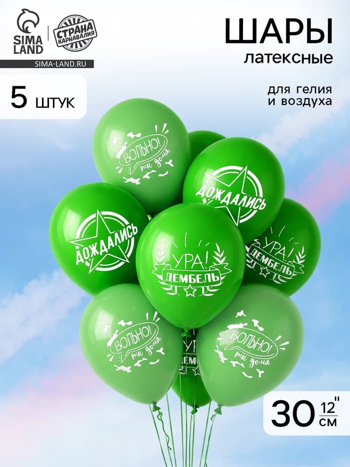 Воздушные шары латексные 12" «Дембель», 5 шт.