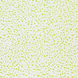 Пленка для цветов «Мошка», салатовая, 0.7×7.6 м, 40 мкм, 200 г