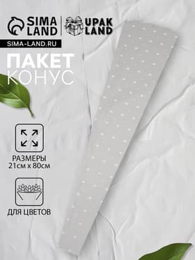 Пакет для цветов конус «Для розы», горох, 21×81 см