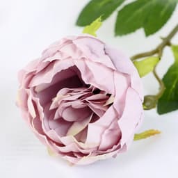 Цветы искусственные «Пышный пион», 7×47 см, сиреневые