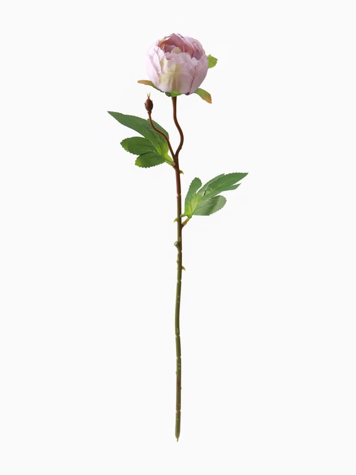 Цветы искусственные «Пышный пион», 7×47 см, сиреневые