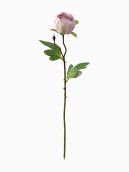 Цветы искусственные «Пышный пион», 7×47 см, сиреневые