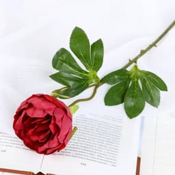 Цветы искусственные «Пышный пион», 7×47 см, бордовые