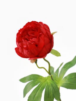 Цветы искусственные «Пышный пион», 7×47 см, бордовые