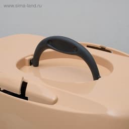 Переноска для животных до 9 кг «Пижон», 43×29×27.5 см, металлическая дверь, пластик, бежевая, серая