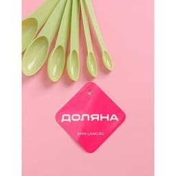 Набор мерных ложек Доляна «Изящество», 6 шт., 13×3 см, МИКС