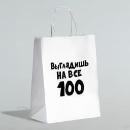 Пакет подарочный с приколами «Выглядишь на все 100», 24×14×28 см
