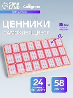 Набор 58 листов: ценники самоклеящиеся, 24×35 мм, 24 штуки на 1 листе