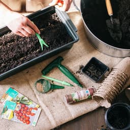 Набор посадочного инструмента: конус - 2 шт., сеялка, пикировщик, пластик, Greengo