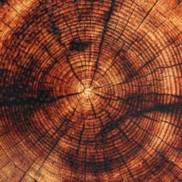 Доска разделочная с ручками Дарим Красиво «Спил», 36×28 см, дерево, коричневая