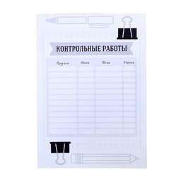 Папка школьная с креплением «Портфолио школьника», 6 листов-разделителей, 21,5 х 30 см.