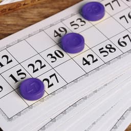 Русское лото «Любимое», 24 карточки, 90 фишек, МИКС