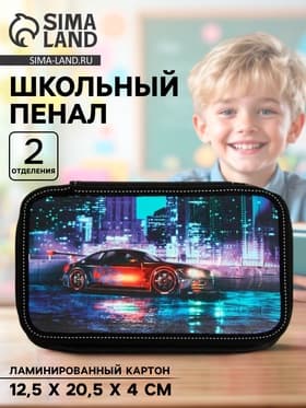 Пенал школьный, 2 секции, 12.5×20.5×4 см «Драйв»