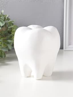 Копилка для денег «Зуб», гипс, белый, 13×14×19 см