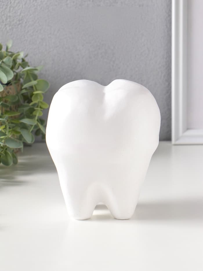 Копилка для денег «Зуб», гипс, белый, 13×14×19 см