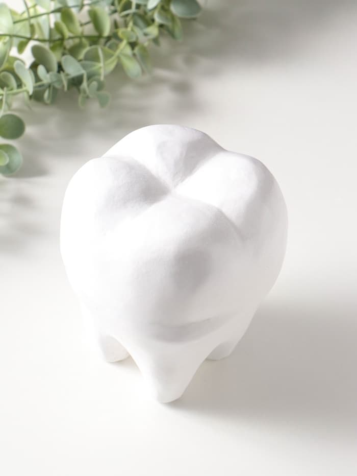 Копилка для денег «Зуб», гипс, белый, 13×14×19 см