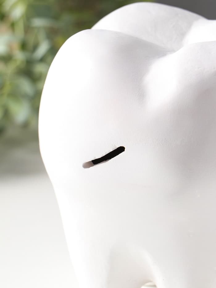 Копилка для денег «Зуб», гипс, белый, 13×14×19 см