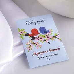Аромасаше Only you, аромат морозная вишня, вес 7 г, размер 7×10.5 см