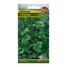 Семена Кориандр «Пикник», 90 шт., «Дом семян»