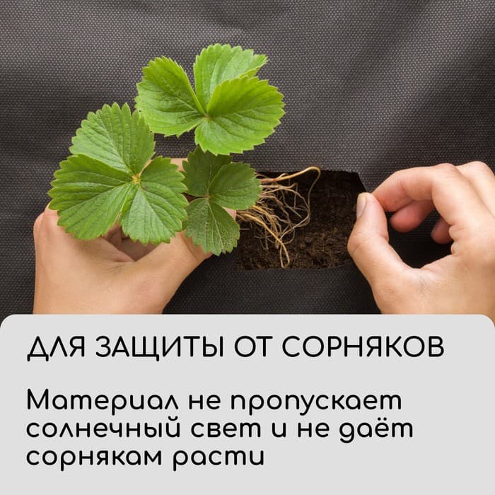 Материал для ландшафтных работ, 5×0.8 м, плотность 120 г/м², спанбонд с УФ-стабилизатором, чёрный, Greengo, Эконом 30%