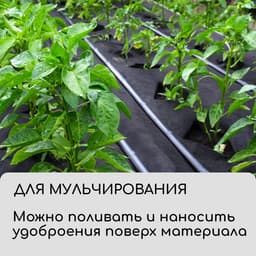 Материал для ландшафтных работ, 5×0.8 м, плотность 120 г/м², спанбонд с УФ-стабилизатором, чёрный, Greengo, Эконом 30%