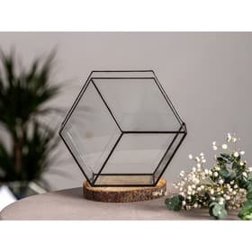 Флорариум «Соты 3d», стекло, швы чёрные