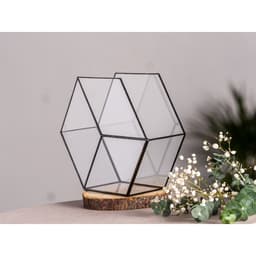 Флорариум «Соты 3d», стекло, швы чёрные