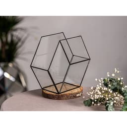 Флорариум «Соты 3d», стекло, швы чёрные