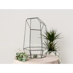 Флорариум «Айсберг», стекло, швы чёрные