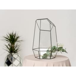 Флорариум «Айсберг», стекло, швы чёрные