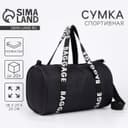 Сумка спортивная Baggage на молнии, чёрная